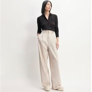 Everlane Way High Drape Pant Wide Leg Hi-Rise Sandstone Women 16S Inseam 30 NWT